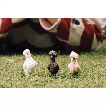 Rotaļu figūras Schleich FARM WORLD Vistas draugi Daudzkrāsaina 42574