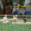 Rotaļu figūras Schleich FARM WORLD Vistas draugi Daudzkrāsaina 42574