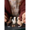 Rotaļu figūras Schleich FARM WORLD Vistas draugi Daudzkrāsaina 42574