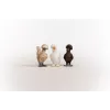 Rotaļu figūras Schleich FARM WORLD Vistas draugi Daudzkrāsaina 42574