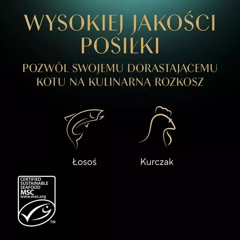 Mitrā kaķu barība Sheba Kitten Selection of Flavors in Sauce 40×85 g — mitrā barība kaķēniem, 40 paciņas x 85 g, 3,4 kg, vistas pamatgarša