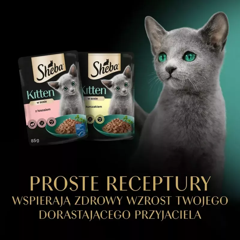 Mitrā kaķu barība Sheba Kitten Selection of Flavors in Sauce 40×85 g — mitrā barība kaķēniem, 40 paciņas x 85 g, 3,4 kg, vistas pamatgarša