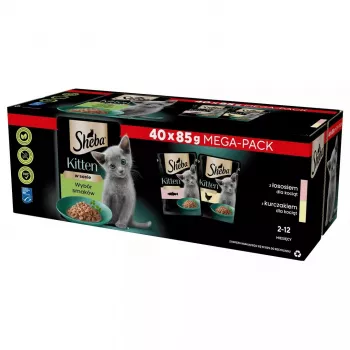 Mitrā kaķu barība Sheba Kitten Selection of Flavors in Sauce 40×85 g — mitrā barība kaķēniem, 40 paciņas x 85 g, 3,4 kg, vistas pamatgarša