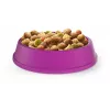Sausā kaķu barība Whiskas Adult Chicken 14 kg — proteīns 30%, tauki 12%, šķiedrvielas 2%