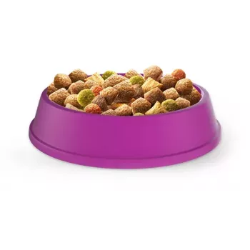 Sausā kaķu barība Whiskas Adult Chicken 14 kg — proteīns 30%, tauki 12%, šķiedrvielas 2%