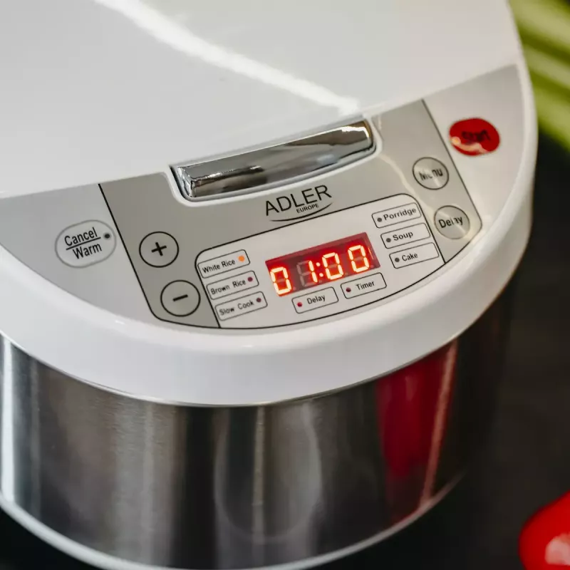 Multivārāmais katls Adler AD 6420 — 700 W, 3,25 L tilpums, 6 programmējamas programmas, LED displejs
