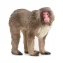 Figūra Schleich WILD LIFE Japāņu makaks Bēšs Brūns Rozā 14871