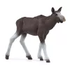 Figūru komplekts Schleich WILD LIFE Aļņu ģimene — reālistiskas dzīvnieku figūriņas, 3+ gadi, daudzkrāsu