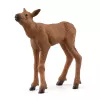 Figūru komplekts Schleich WILD LIFE Aļņu ģimene — reālistiskas dzīvnieku figūriņas, 3+ gadi, daudzkrāsu