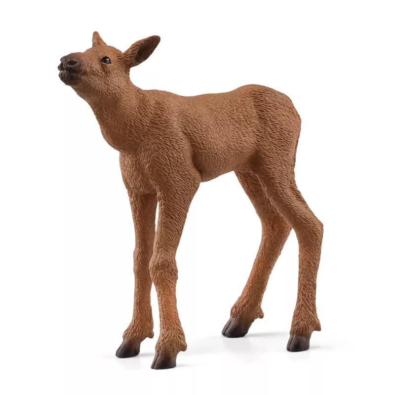Figūru komplekts Schleich WILD LIFE Aļņu ģimene — reālistiskas dzīvnieku figūriņas, 3+ gadi, daudzkrāsu