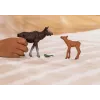 Figūru komplekts Schleich WILD LIFE Aļņu ģimene — reālistiskas dzīvnieku figūriņas, 3+ gadi, daudzkrāsu