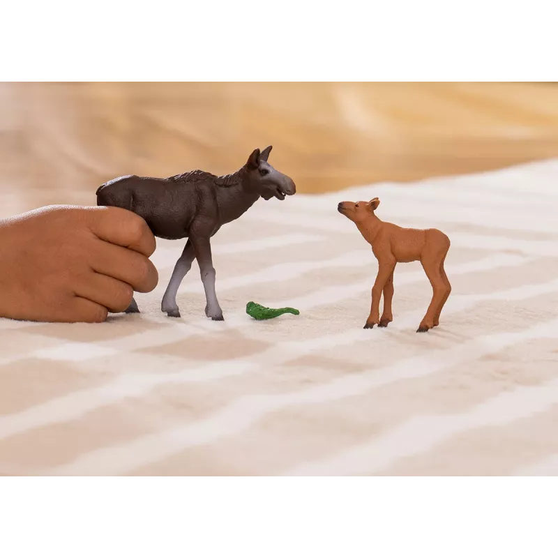 Figūru komplekts Schleich WILD LIFE Aļņu ģimene — reālistiskas dzīvnieku figūriņas, 3+ gadi, daudzkrāsu