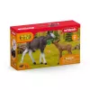 Figūru komplekts Schleich WILD LIFE Aļņu ģimene — reālistiskas dzīvnieku figūriņas, 3+ gadi, daudzkrāsu