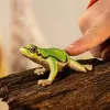 schleich WILD LIFE Eiropas kokvarde, 3 gadi, Mežs, Savvaļas dzīvnieki / piedzīvojumu rotaļlietas, Daudzkrāsaina