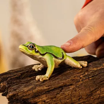 schleich WILD LIFE Eiropas kokvarde, 3 gadi, Mežs, Savvaļas dzīvnieki / piedzīvojumu rotaļlietas, Daudzkrāsaina