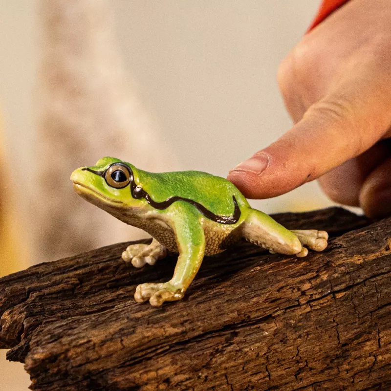 schleich WILD LIFE Eiropas kokvarde, 3 gadi, Mežs, Savvaļas dzīvnieki / piedzīvojumu rotaļlietas, Daudzkrāsaina