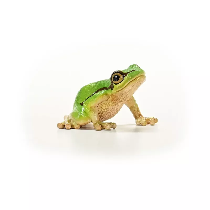 schleich WILD LIFE Eiropas kokvarde, 3 gadi, Mežs, Savvaļas dzīvnieki / piedzīvojumu rotaļlietas, Daudzkrāsaina