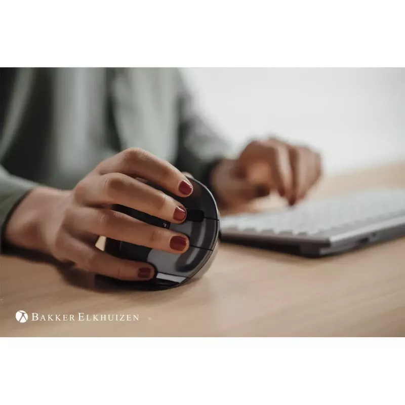 Pele BakkerElkhuizen Evoluent D RF Wireless