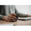 Pele BakkerElkhuizen Evoluent D RF Wireless