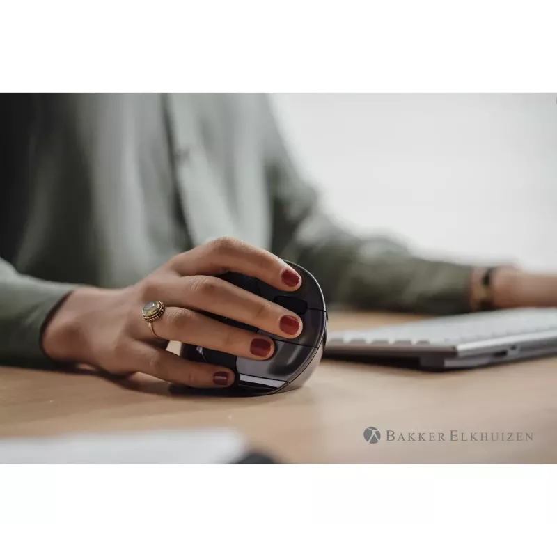 Pele BakkerElkhuizen Evoluent D RF Wireless