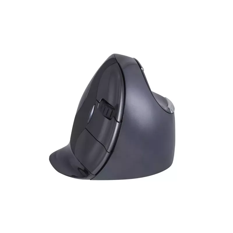 Pele BakkerElkhuizen Evoluent D RF Wireless