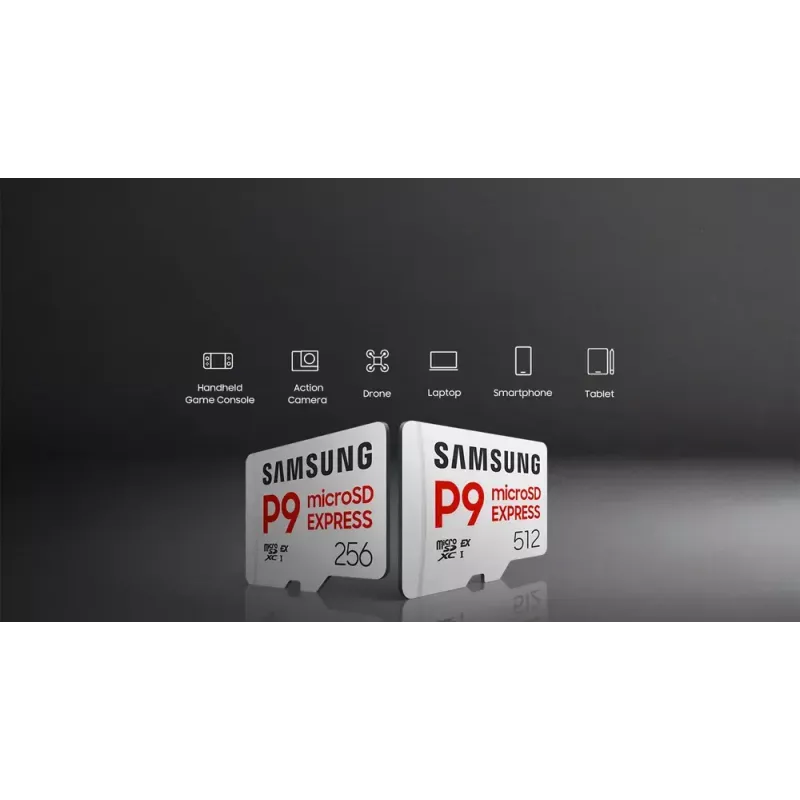 microSDXC atmiņas karte Samsung P9 Express 512 GB, UHS-I, lasīšana 800 MB/s, V30, U1, balta