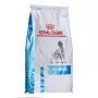 Sausā suņu barība Royal Canin Anallergenic 8 kg — pieaugušiem suņiem hipoalerģiska mājputnu formula, bez glutēna, bez laktozes