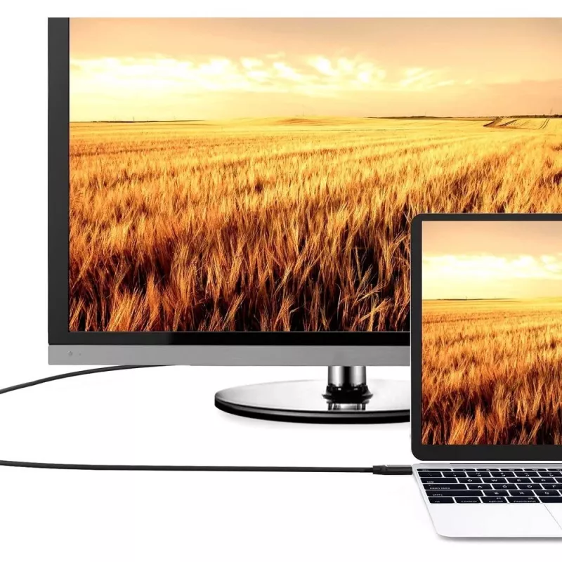 Techly ICOC HDMI-4-100NE HDMI kabelis 10 m HDMI Type A (Standard) melns