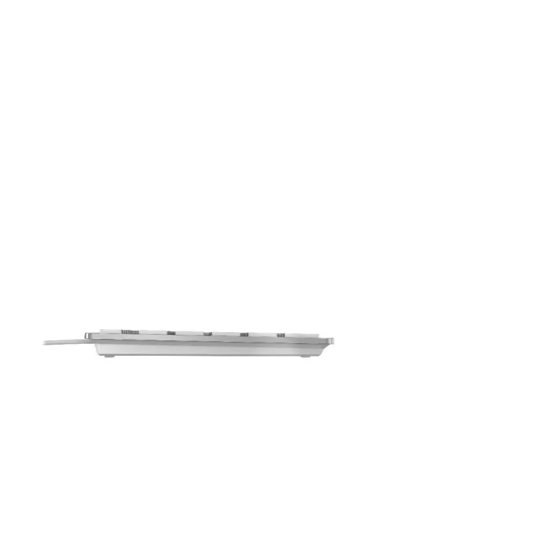 CHERRY KC 6000 plāns tastatūra Universāla USB AZERTY Beļģu Sudraba, Balta