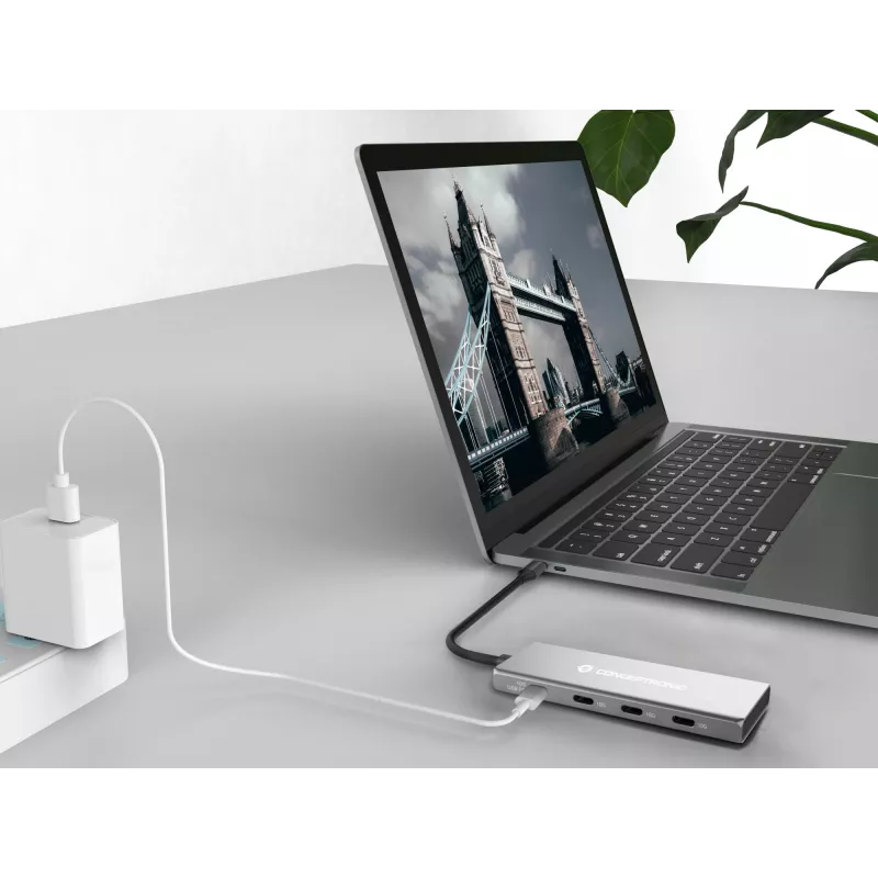 Conceptronic HUBBIES16G saskarnes centrmezgls USB 3.2 Gen 2 (3.1 Gen 2) Type-C 10000 Mbit/s Pelēks