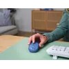 Trust Yvi+ pele Universāla Piemērota abām rokām RF Bezvadu + Bluetooth Optiskā 1600 DPI