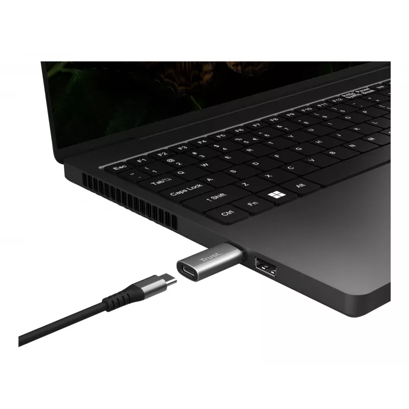 Trust Calyx USB Type-C USB Type-A pelēks savienotājs 1 USB Type-C savienotājs 2 USB Type-A