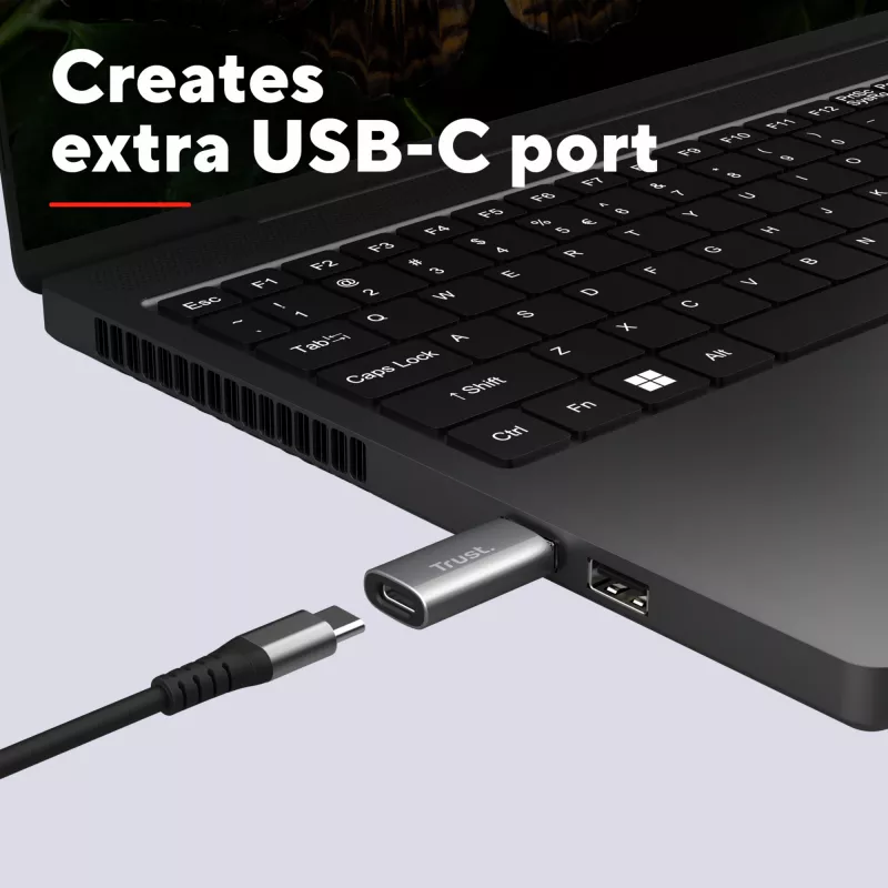 Trust Calyx USB Type-C USB Type-A pelēks savienotājs 1 USB Type-C savienotājs 2 USB Type-A