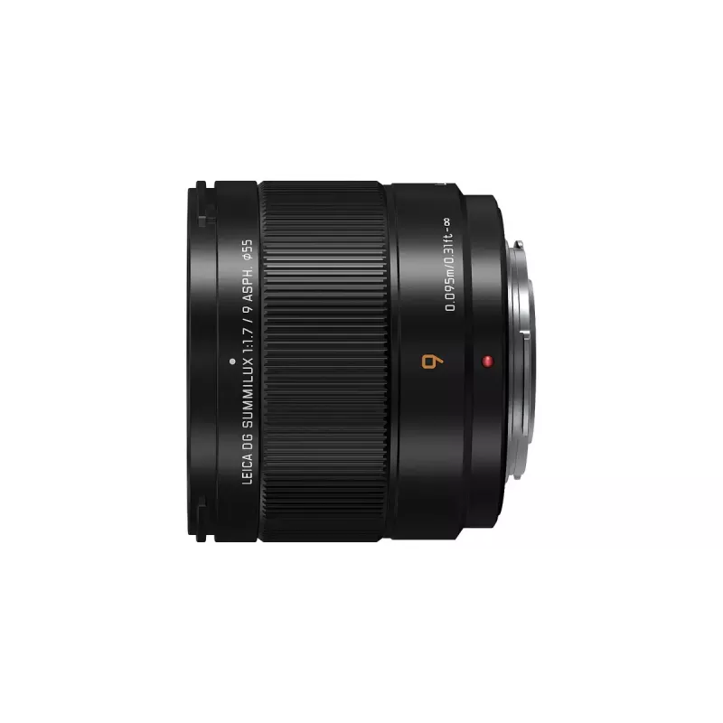 Īpaši platleņķa objektīvs Panasonic H-X09 12 elementi 0,25x Melns