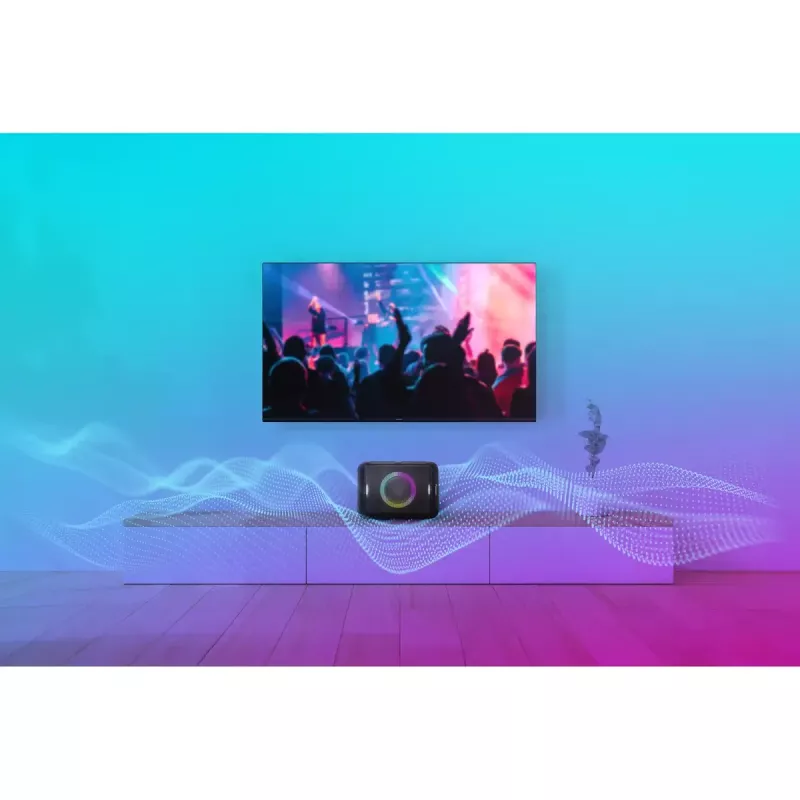 Pārnēsājams stereo skaļrunis Panasonic SC-BMAX5E-K Melns