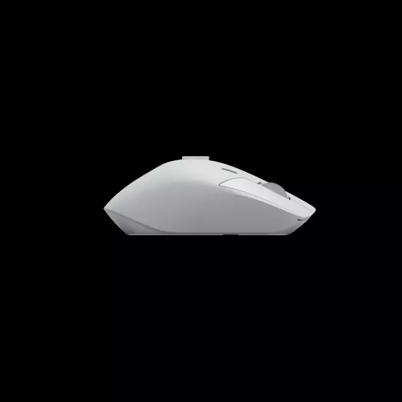 Pele Rapoo MT760M RF Wireless + Bluetooth