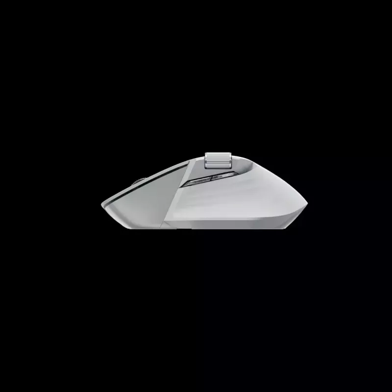 Pele Rapoo MT760M RF Wireless + Bluetooth