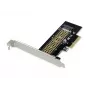 Conceptronic EMRICK M.2 NVMe SSD PCIe adapteris