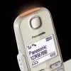 DECT tālrunis Panasonic KX-TGE262GN bezvadu klausule Zvanītāja ID