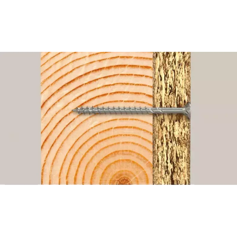 Skrūve Fischer 670365 100 mm