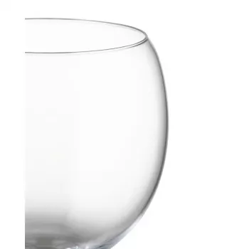 Vīna glāze Alessi SG119/0S4 elegants dizains kristāldzidrs