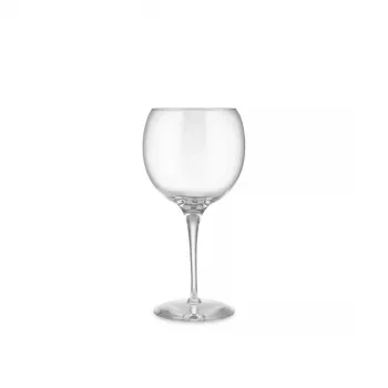 Vīna glāze Alessi SG119/0S4 elegants dizains kristāldzidrs