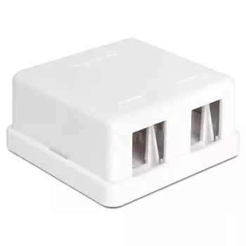 Vadu savienotājs DeLOCK 86207 2x Keystone Balts