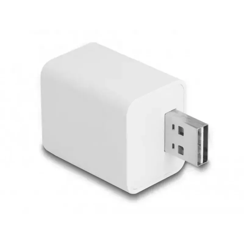 Smart Plug DeLOCK 11828 Indoor Wi-Fi 2A balta