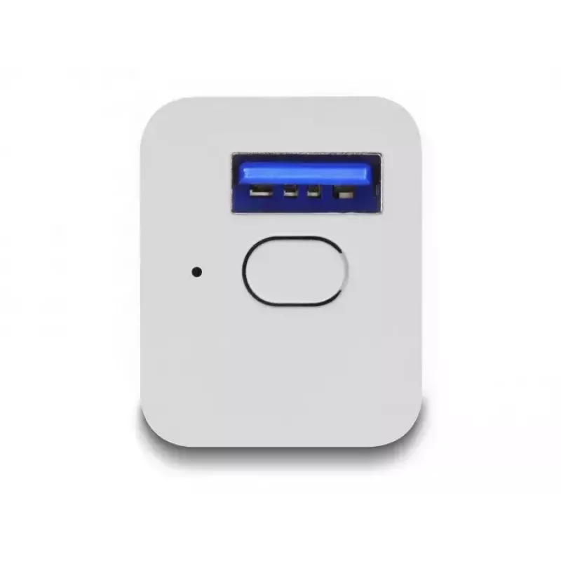 Smart Plug DeLOCK 11828 Indoor Wi-Fi 2A balta
