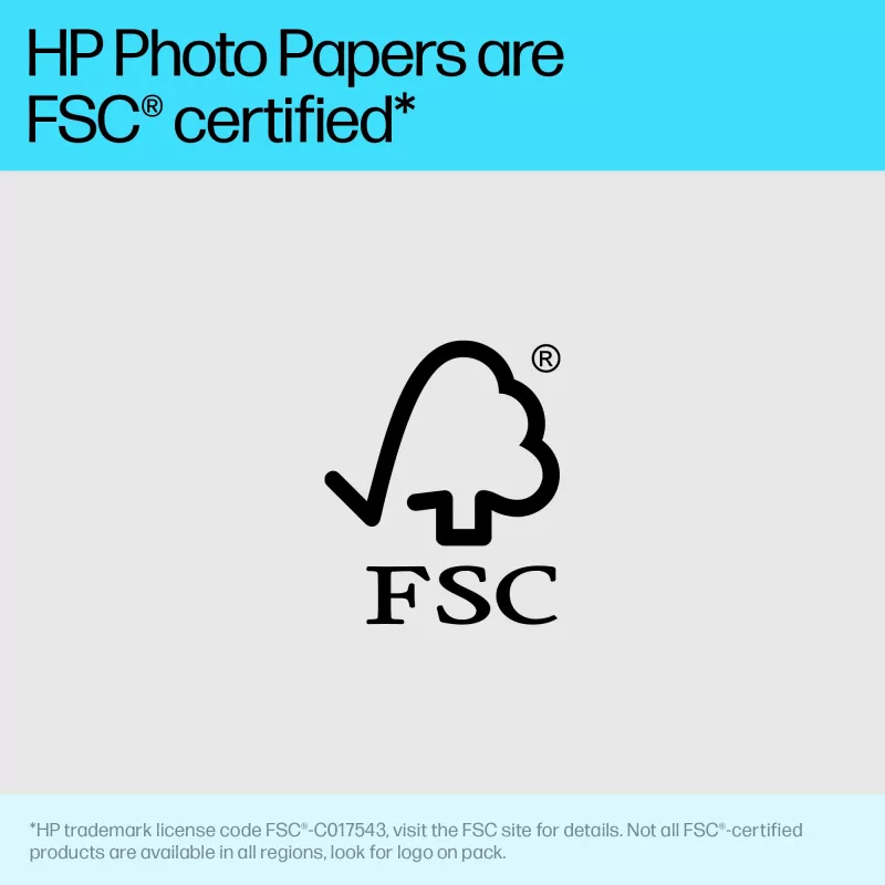HP Advanced Photo Paper Glossy 65 lb 4 x 12 in. (101 x 305 mm) 10 loksnes