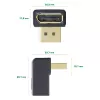 InLine DisplayPort adapteris, DisplayPort vīrišķais / sievišķais, lejupvērsts leņķī
