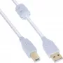 InLine USB 2.0 kabelis, A tipa vīrišķais / B tipa vīrišķais, zeltīti kontakti, ar ferītu, balts, 1 m