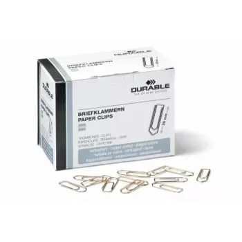 Saspraude Durable 120524
