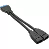 InLine USB 3.0 adaptera kabelis iekšējais 2x USB Type A female / mātesplates ligzda
